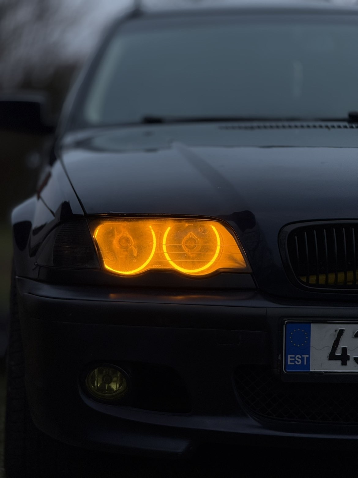 BMW E46 vasak tuli